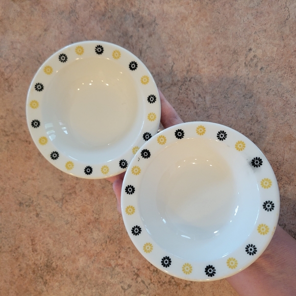 Homer Laughlin Fruit Salsa Dessert Dishes (2) ~ 1960s ~ MCM ~ Retro ~ Floral - Picture 8 of 16